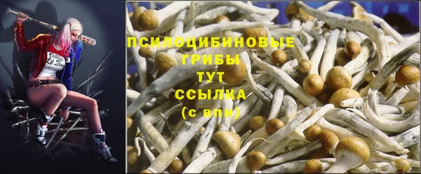 тгк Баксан