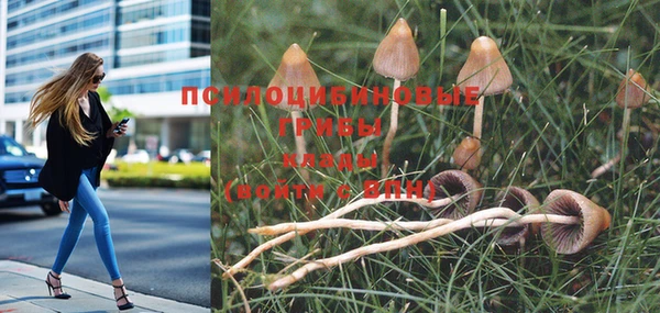 тгк Баксан