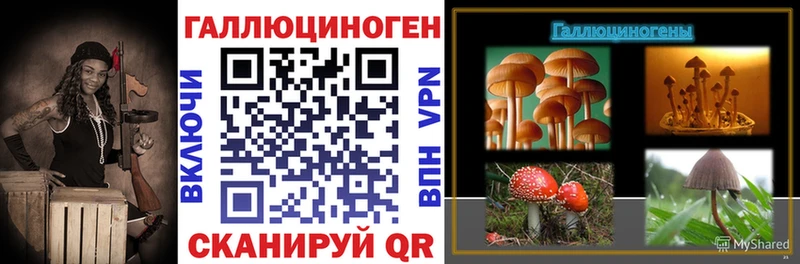 omg tor  даркнет наркотические препараты  Галлюциногенные грибы ЛСД  Сланцы 